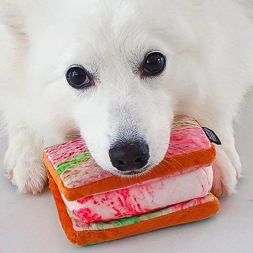 Ice Cream Sandwich Toy