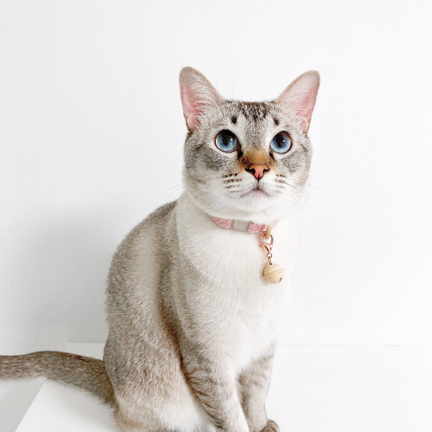 KATT // fine collar