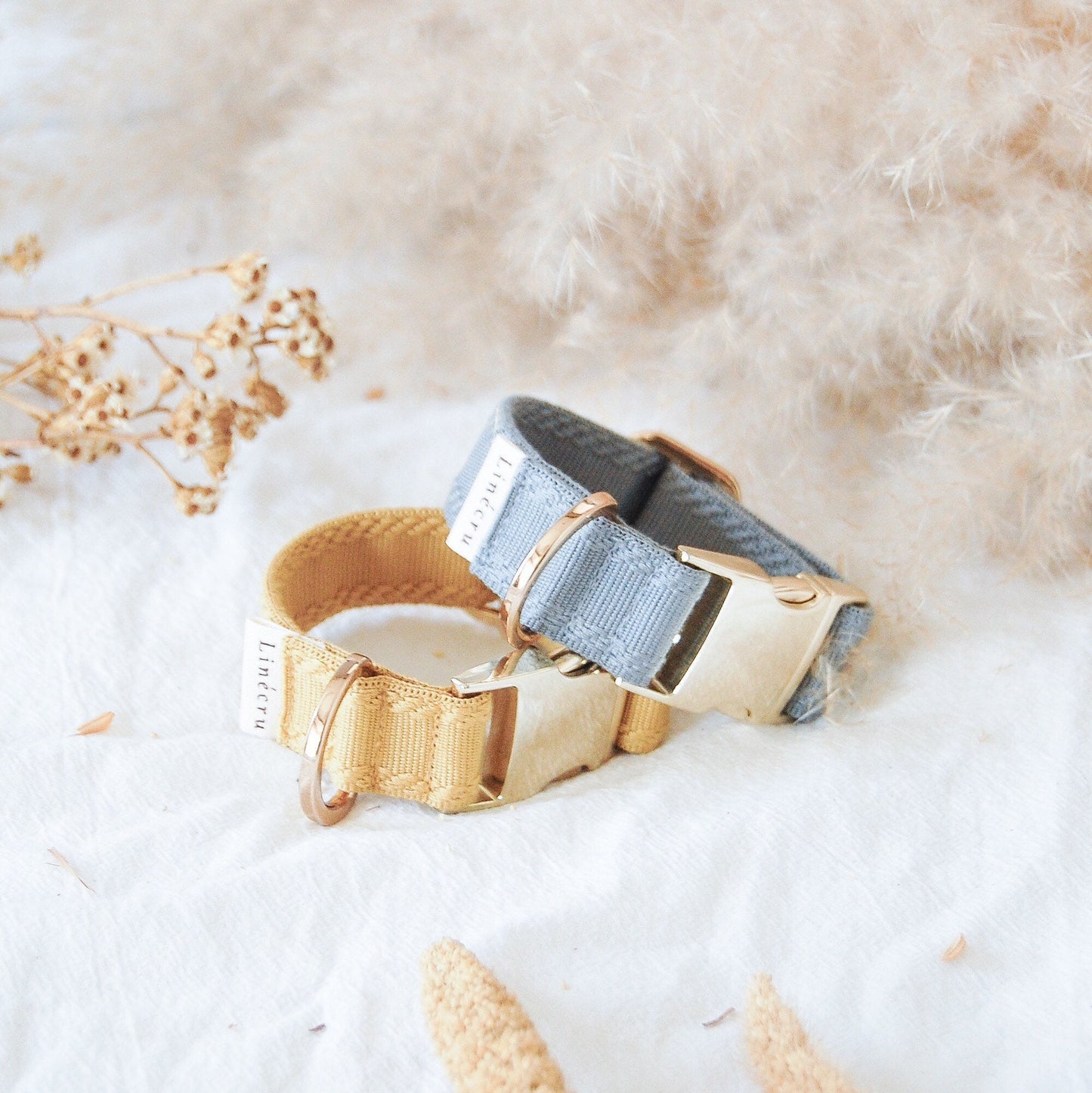 CLAI // classic collar