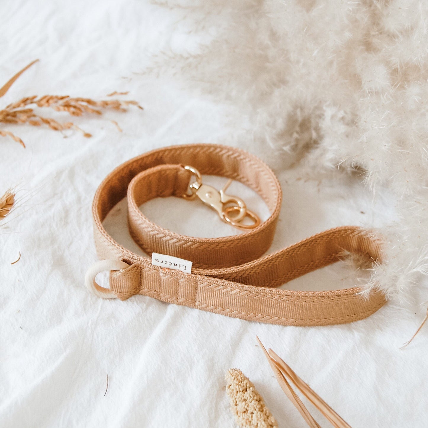 ROW // traffic leash