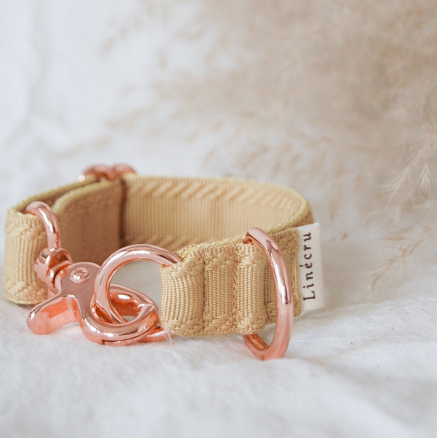 OME // exquisite collar