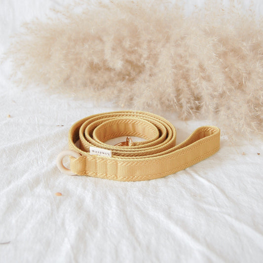 RA // regular leash