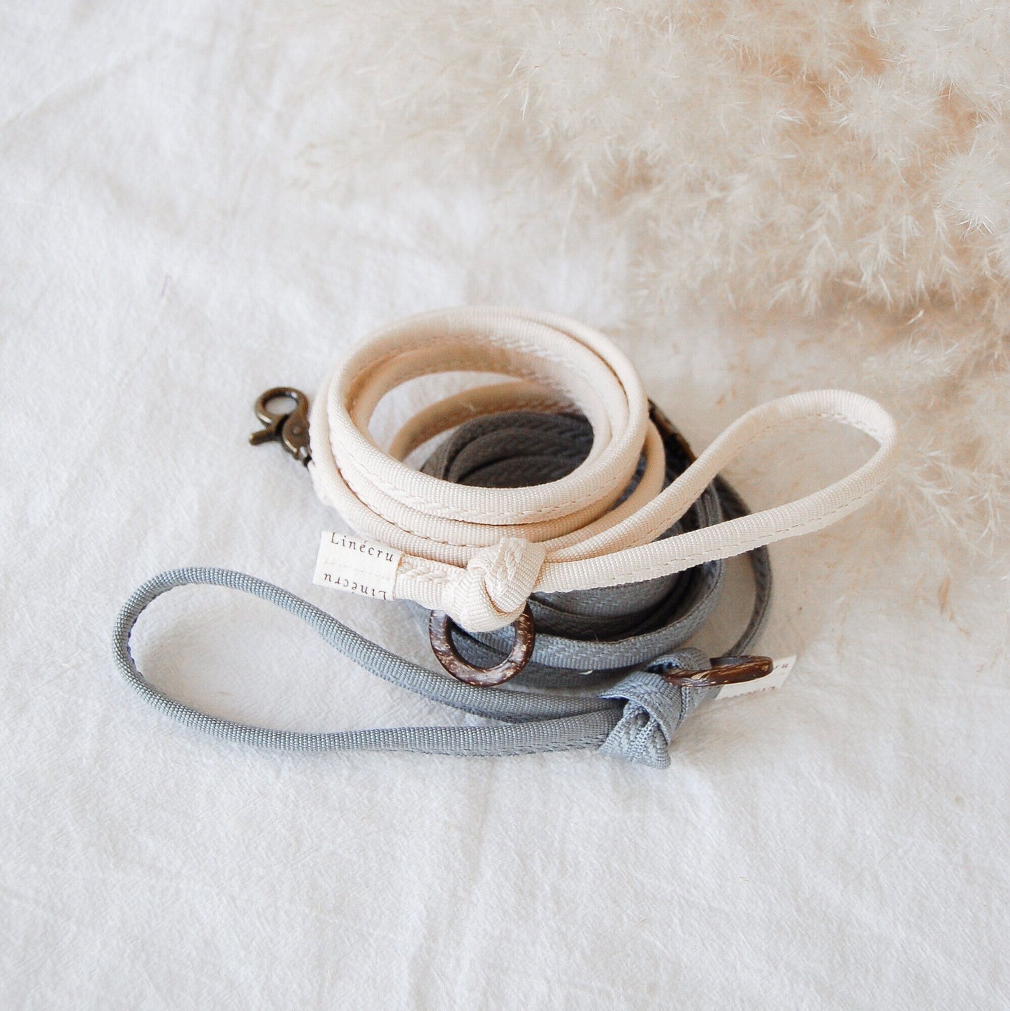 FIÏN // regular leash