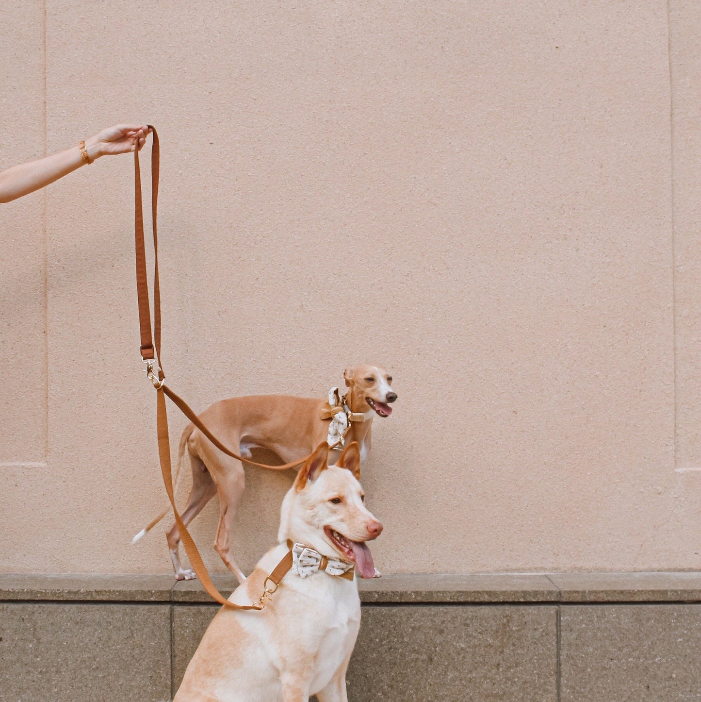 LINNEA // crossbody coupler leash