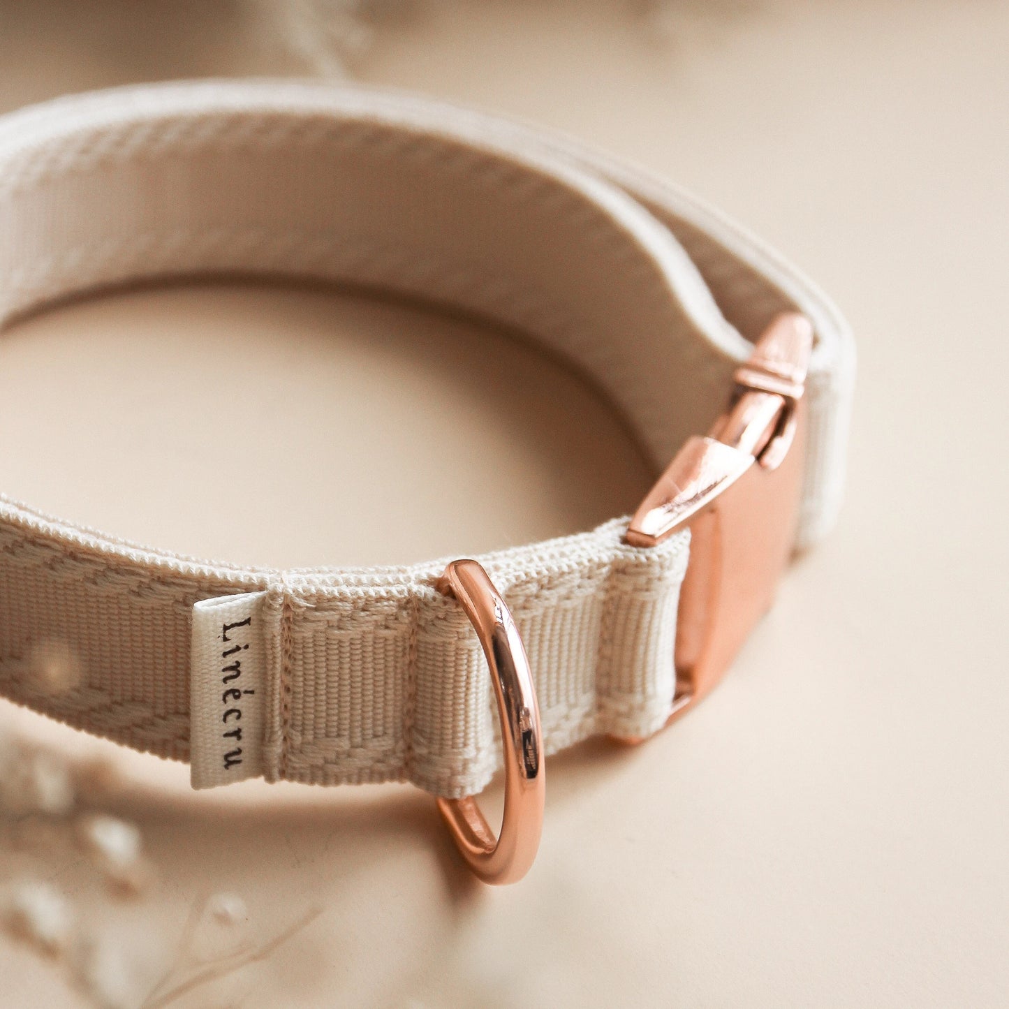 CLAI // classic collar
