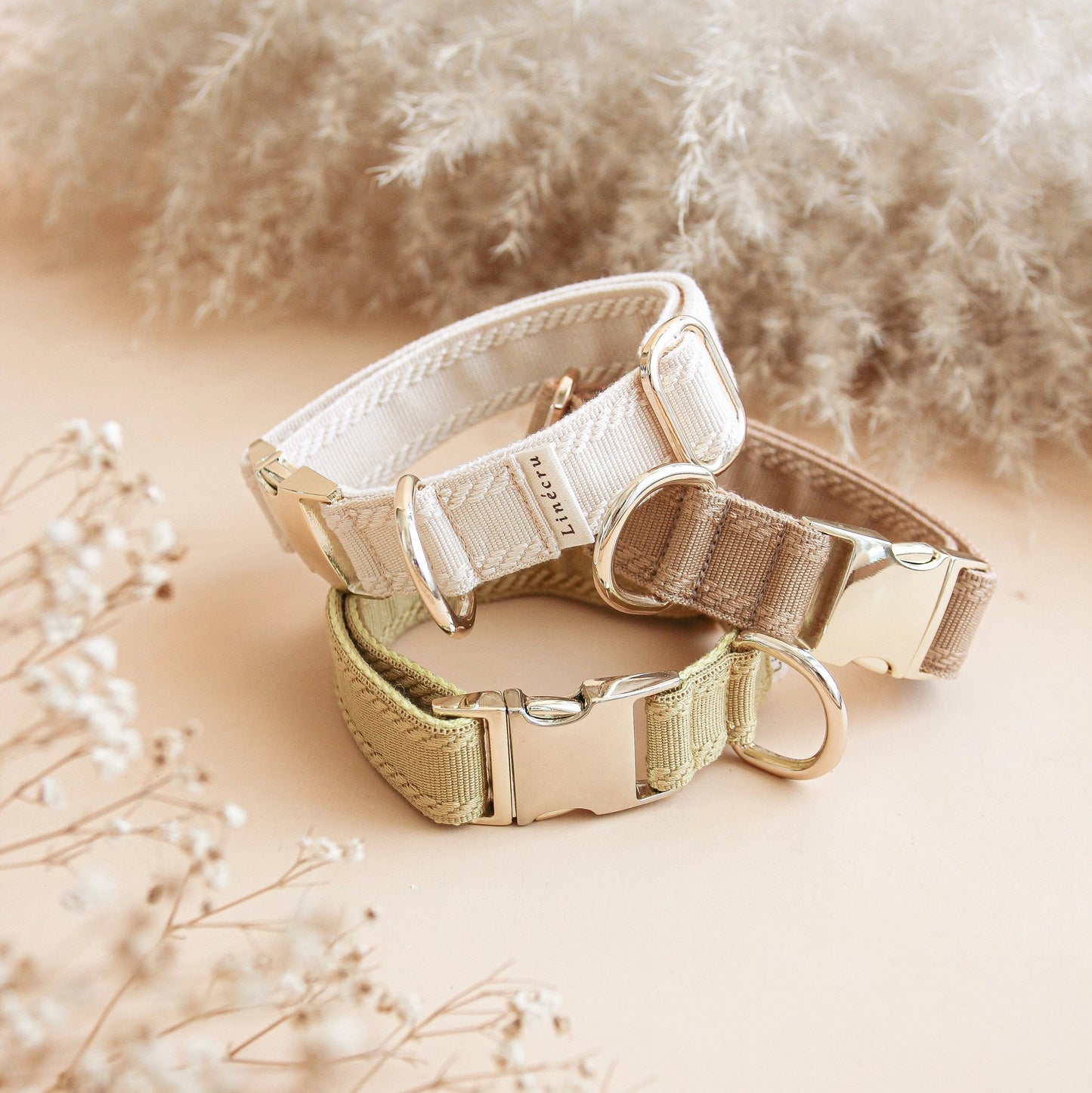 CLAI // classic collar