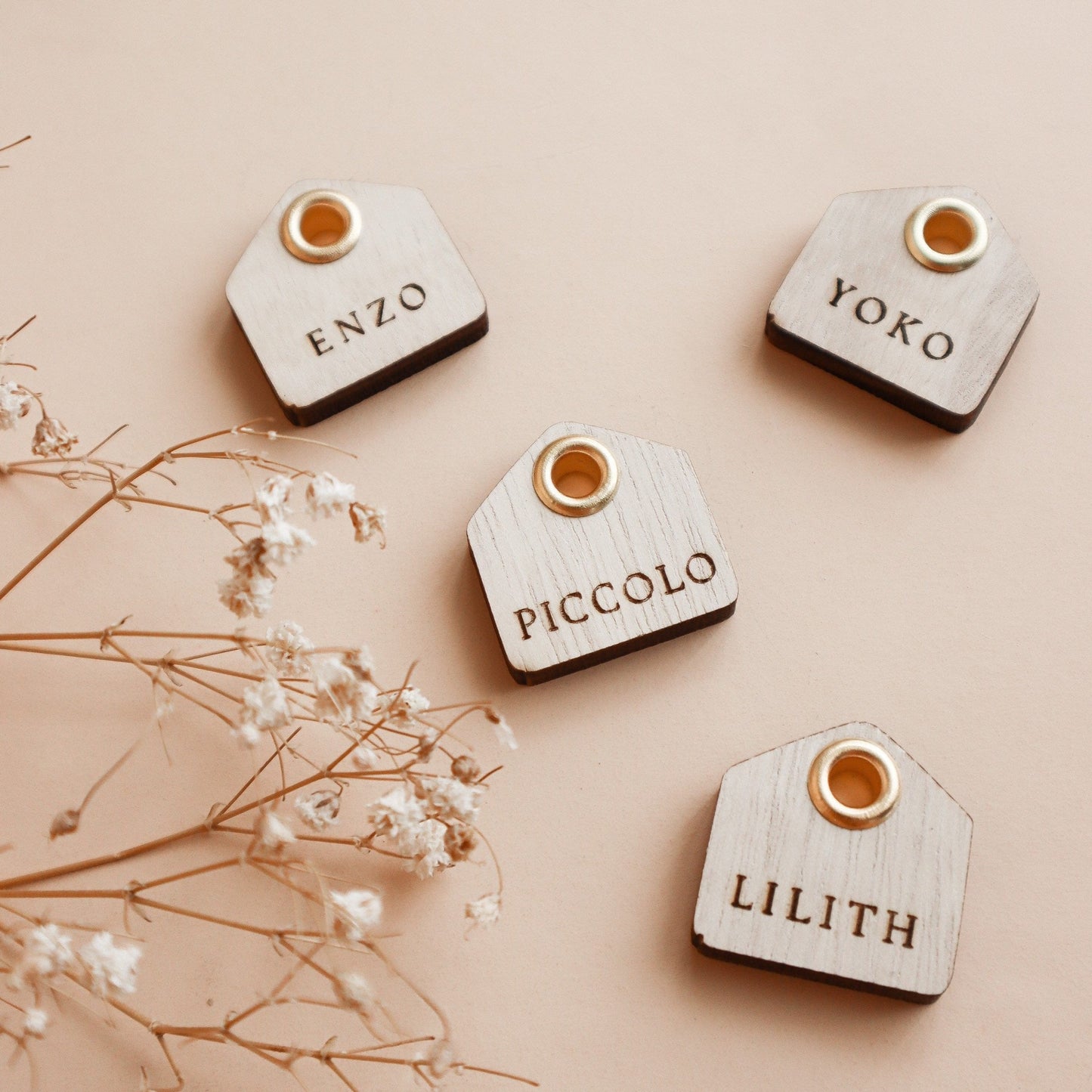 EMA // wooden hut pet tag