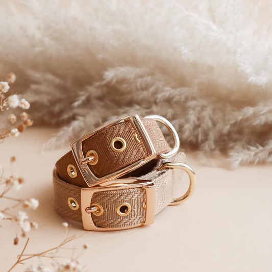 ISSI // classic collar