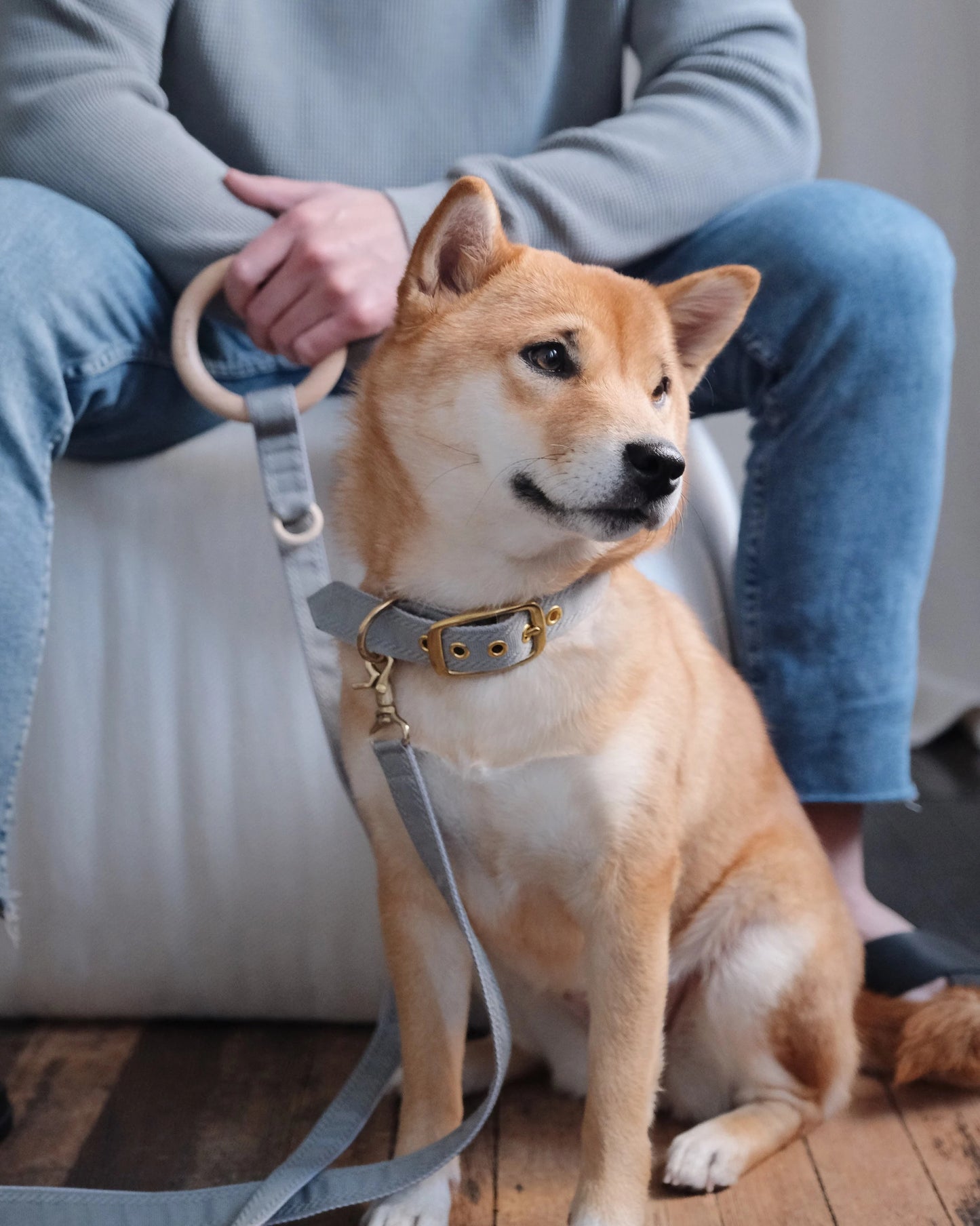 NATTU // regular leash