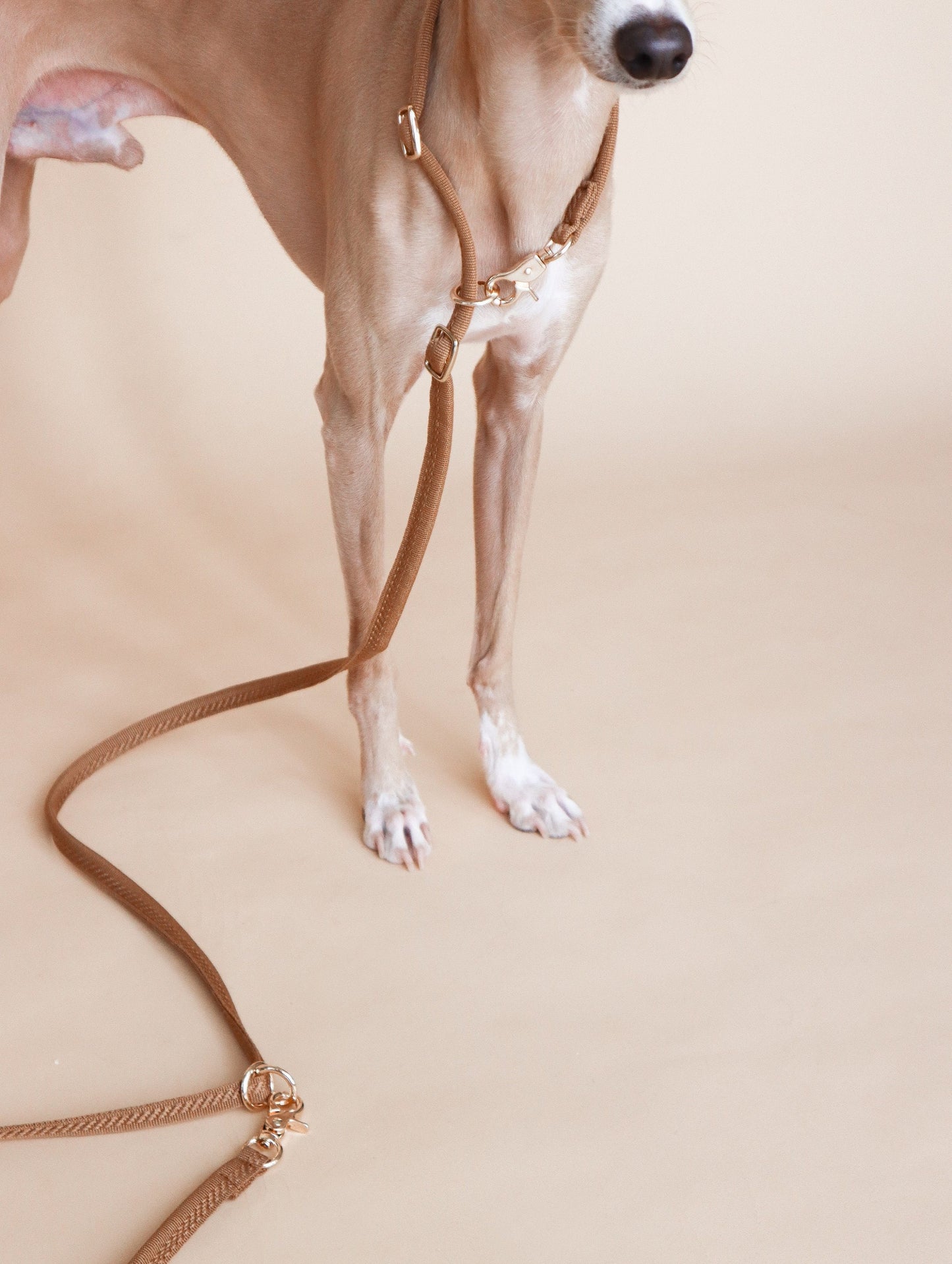 LINJE // crossbody leash