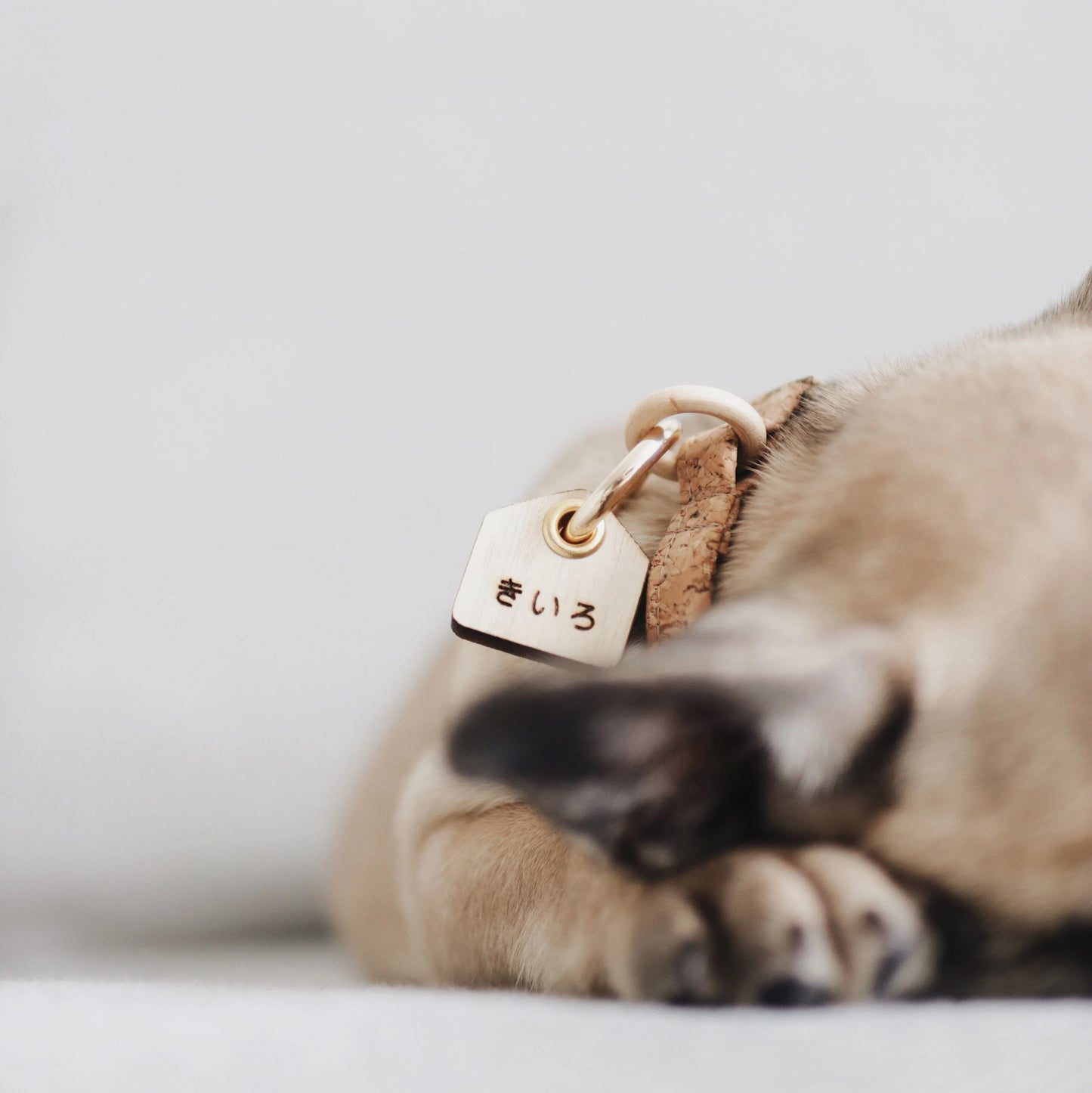 EMA // wooden hut pet tag