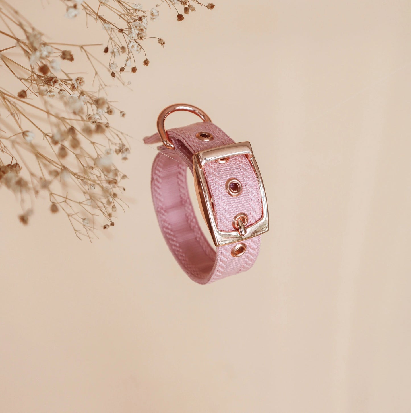 ISSI // classic collar
