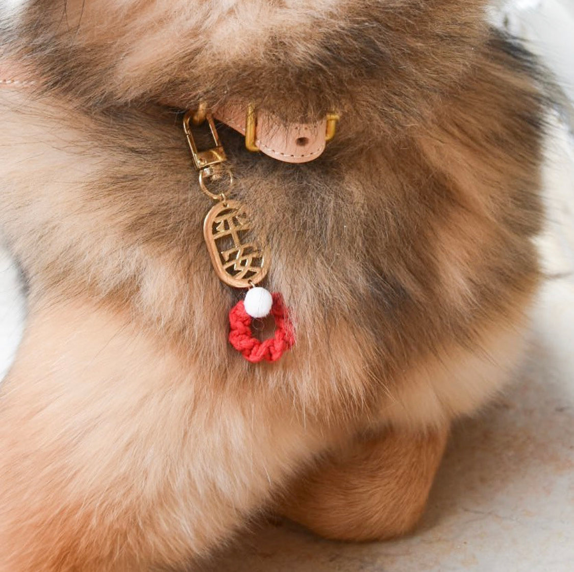 Chinese New Year Blessing Tag