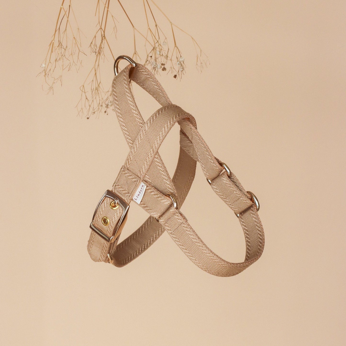 A plain classy harness in tan colour