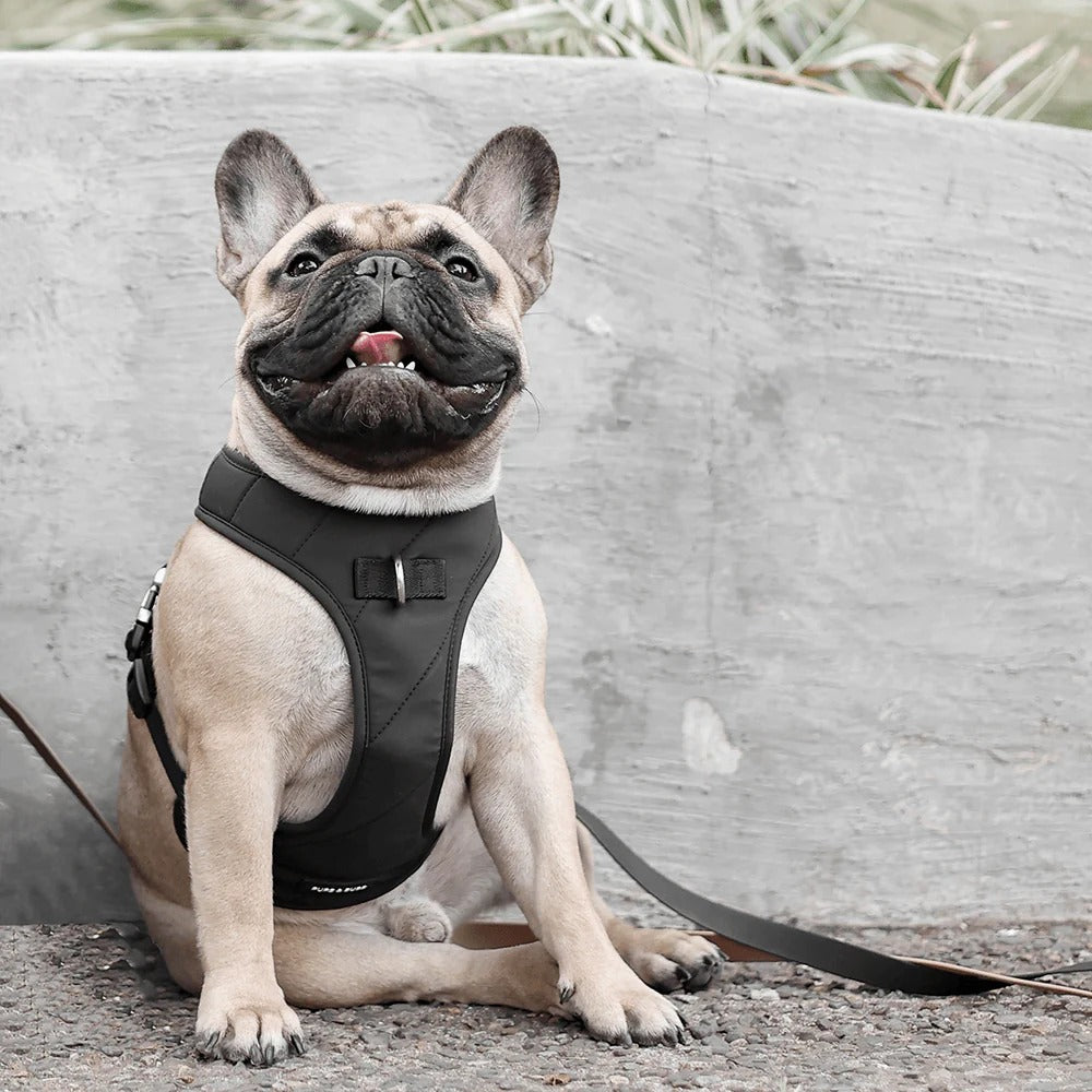 ROAM // luxe harness