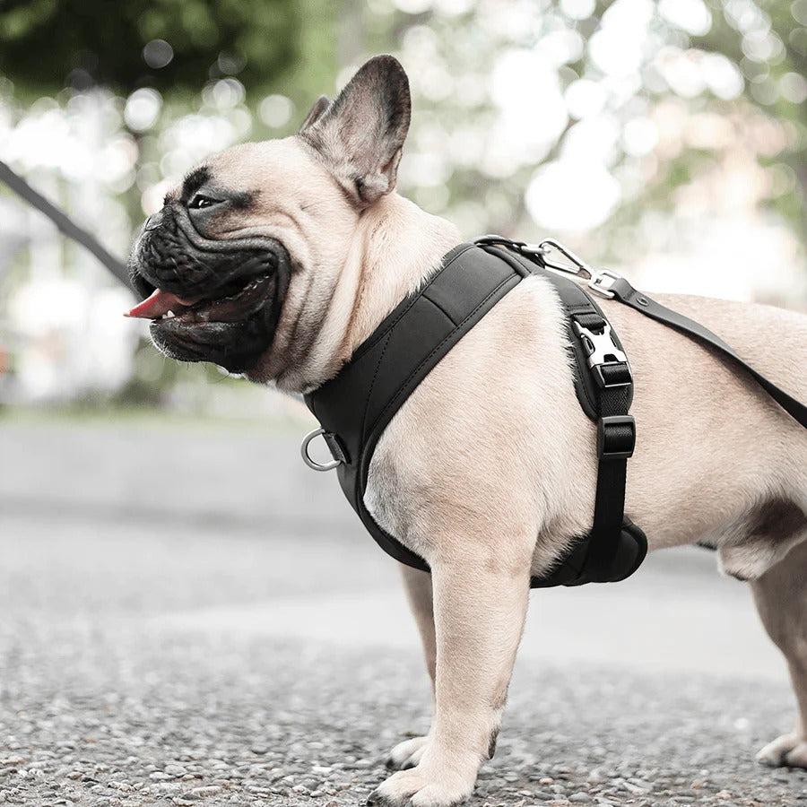 ROAM // luxe harness