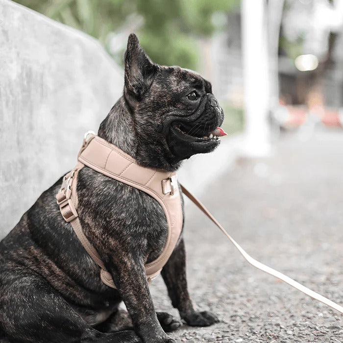 ROAM // luxe harness