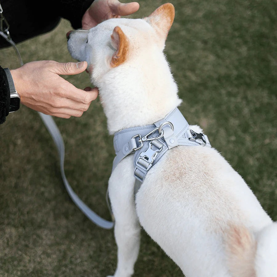 ROAM // luxe harness