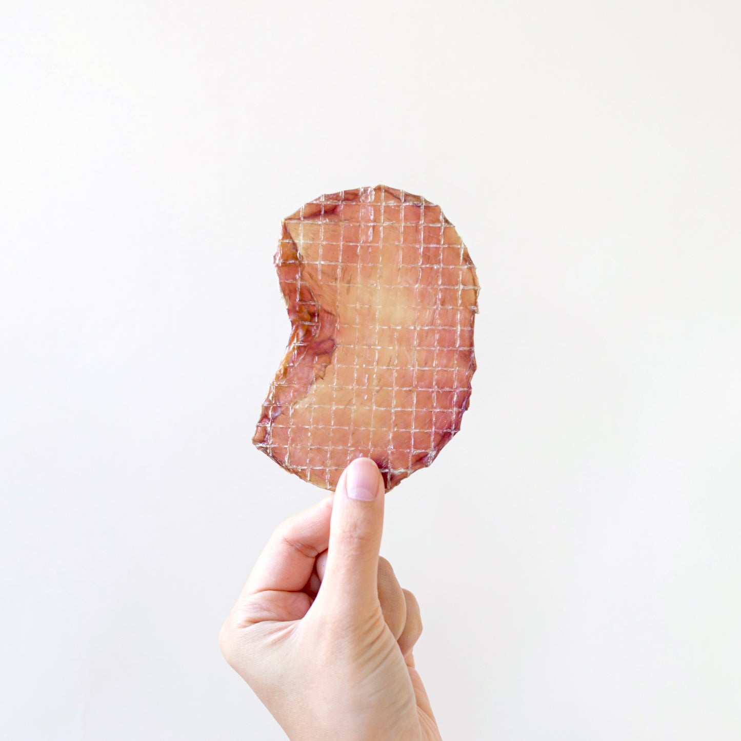 Ostrich Gizzard (per g) // 鴕鳥腎(每克)