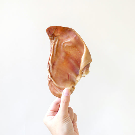Piggy Ears // 注意豬耳!