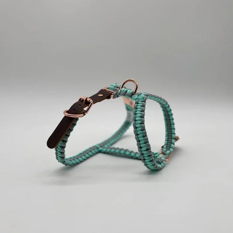 APRICUS // roman harness