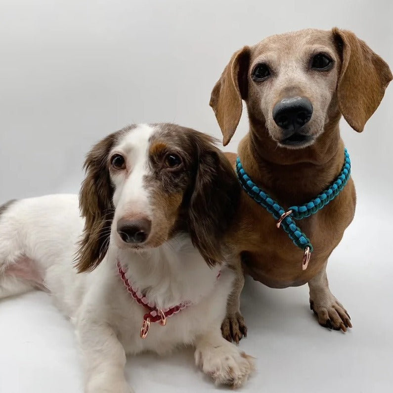 APRICUS // slip collar