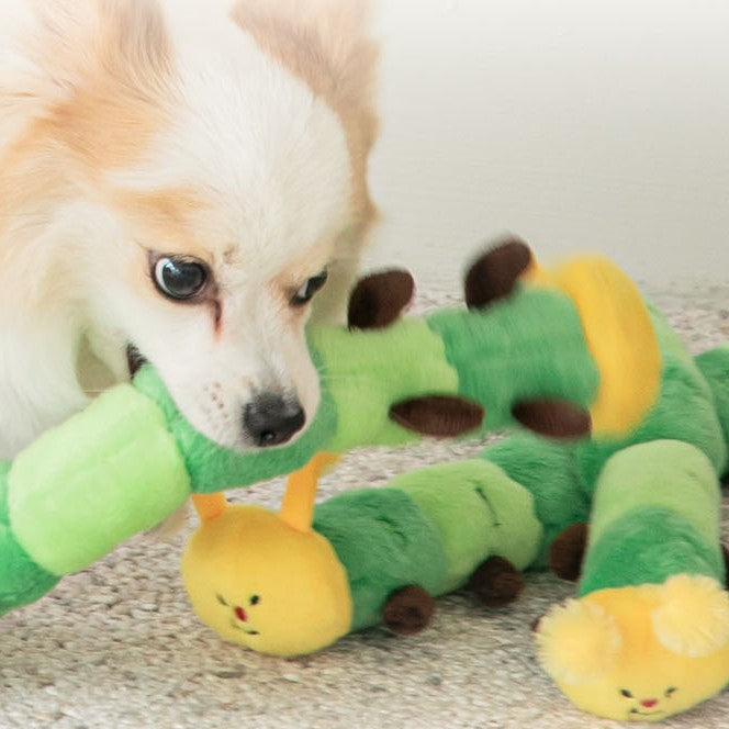 Worm Tug Toy