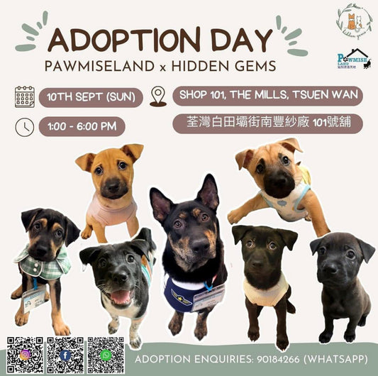 Pawmiseland Adoption Day