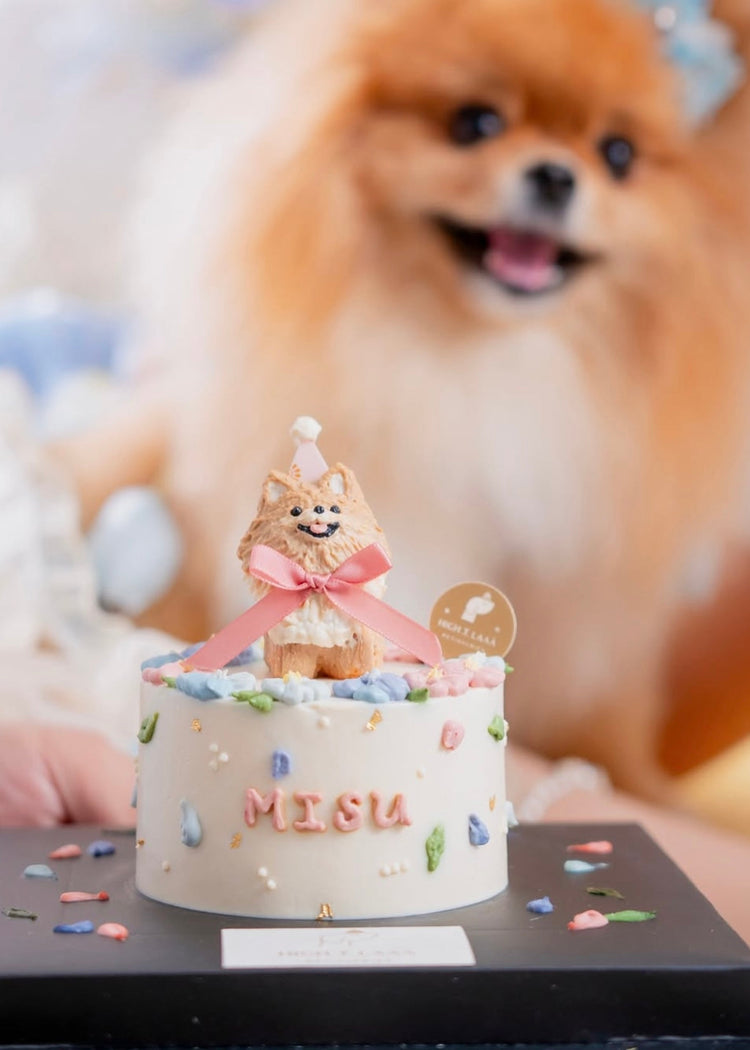 Custom Cakes