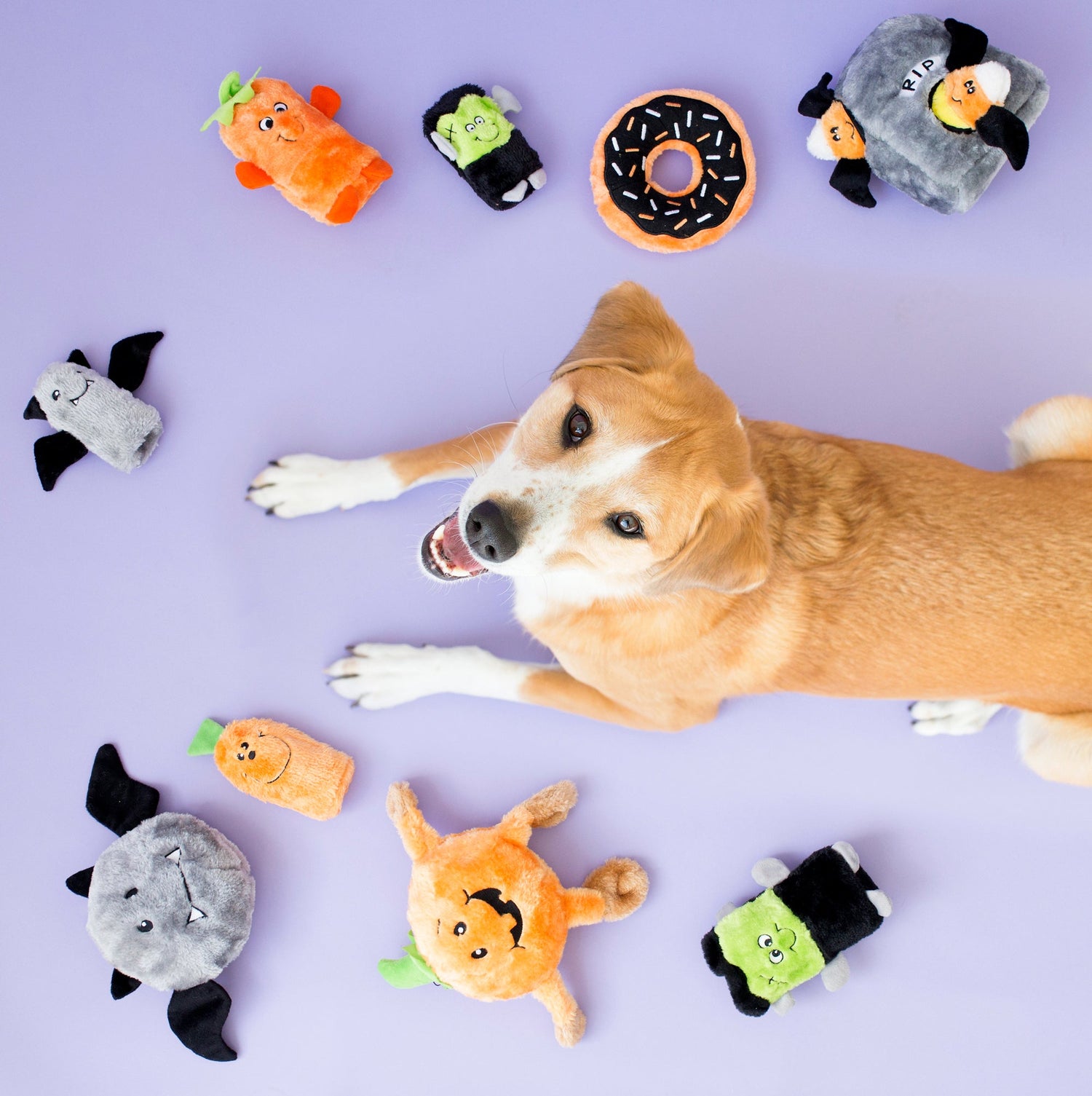 Halloween Collection