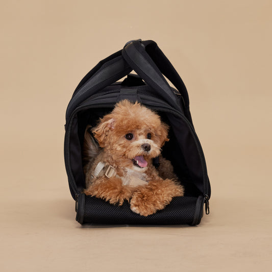 ONBOARD // tote bag carrier