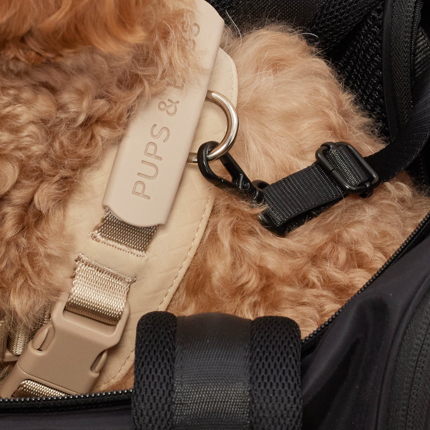 ONBOARD // tote bag carrier