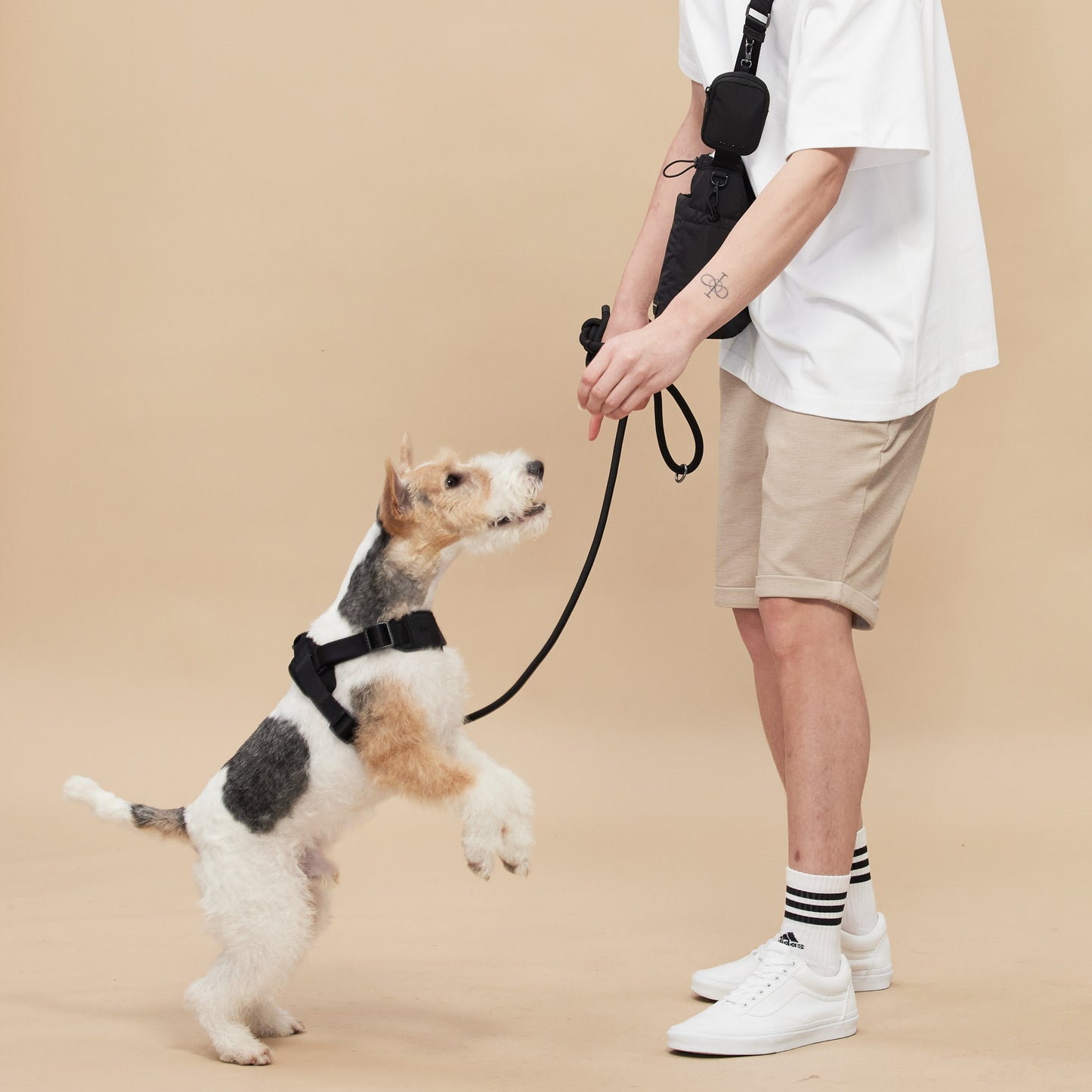 ROVER // crossbody leash