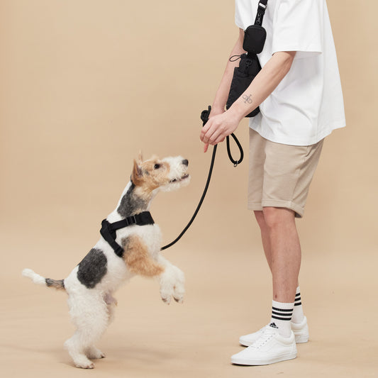 ROVER // crossbody leash