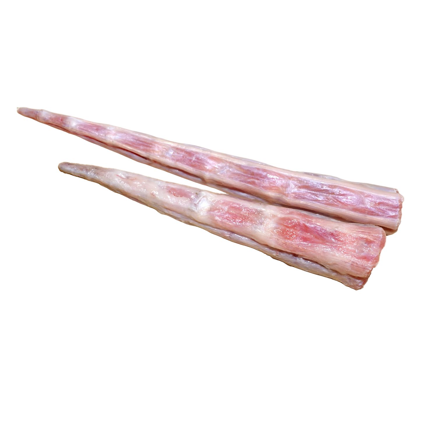 Kangaroo Tail (per g) // RAW