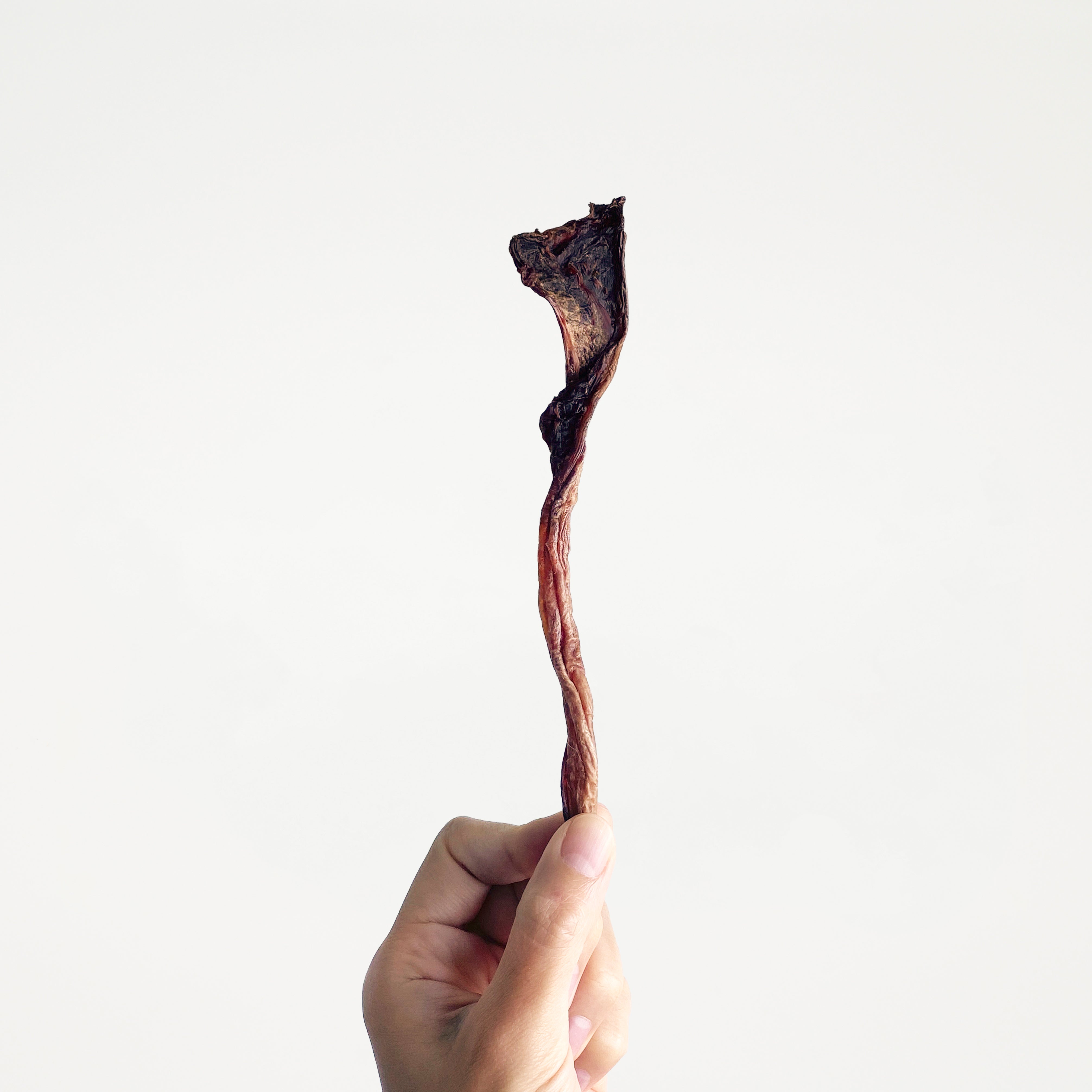 Kangaroo Tendon (per g) // 袋鼠筋（每克） – Hidden Gems