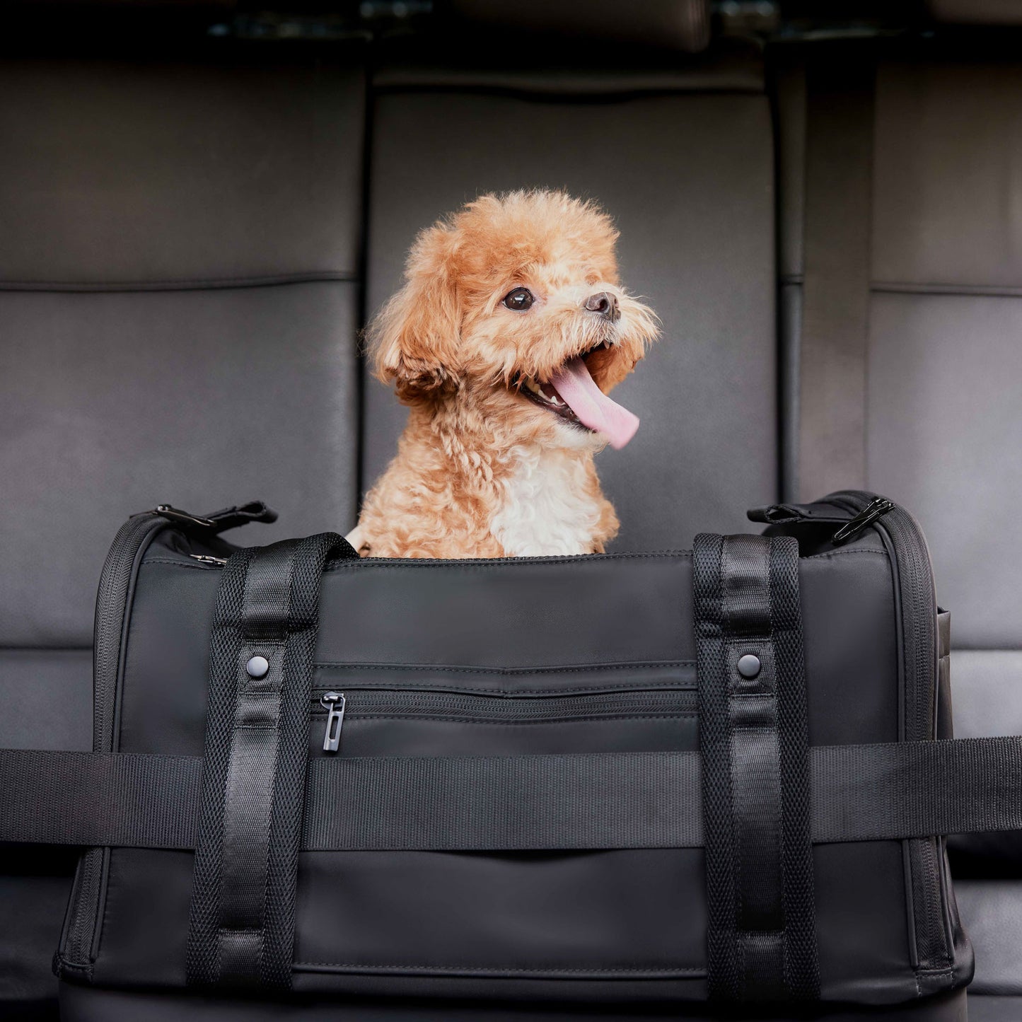 ONBOARD // tote bag carrier