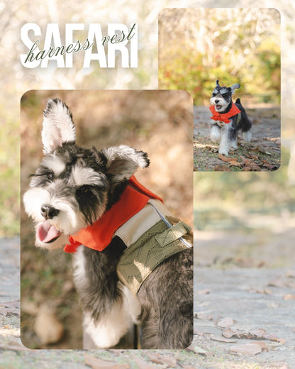 SAFARI // harness vest