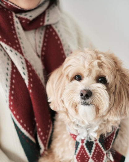 Mmm Christmas Scarf