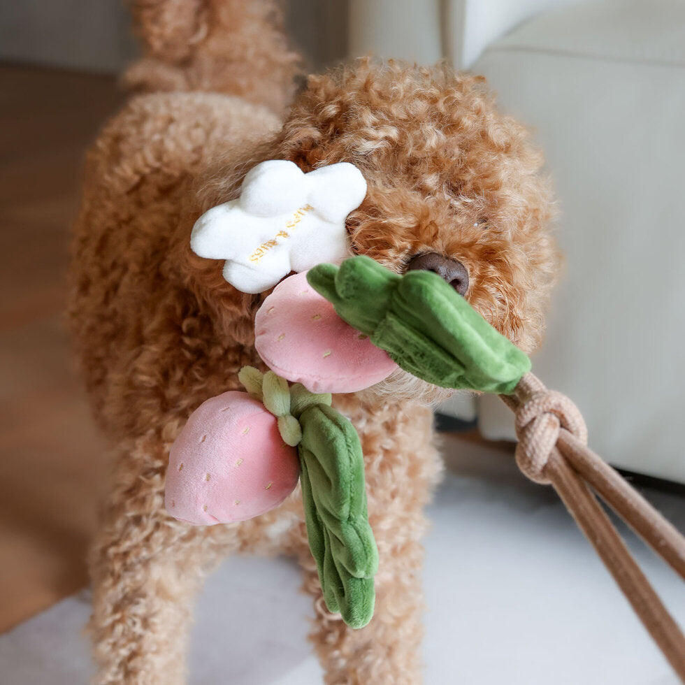 STRAWBERRY VINE // tug toy
