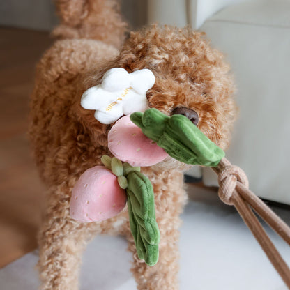 STRAWBERRY VINE // tug toy