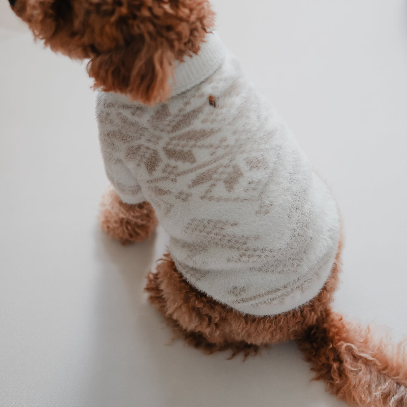 Pups Soft Cloud Sweater