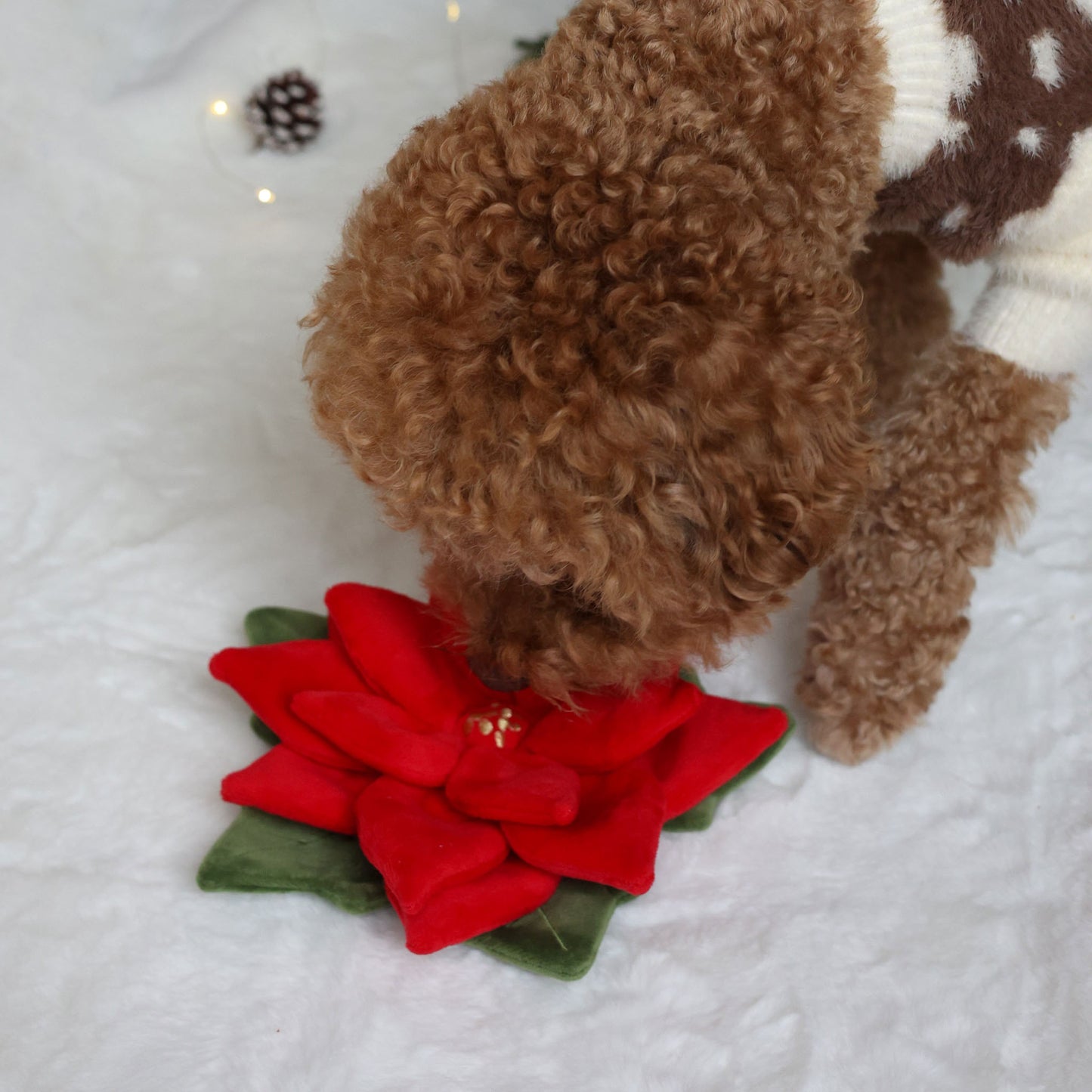 SNUFFLE POINSETTIA // nosework toy