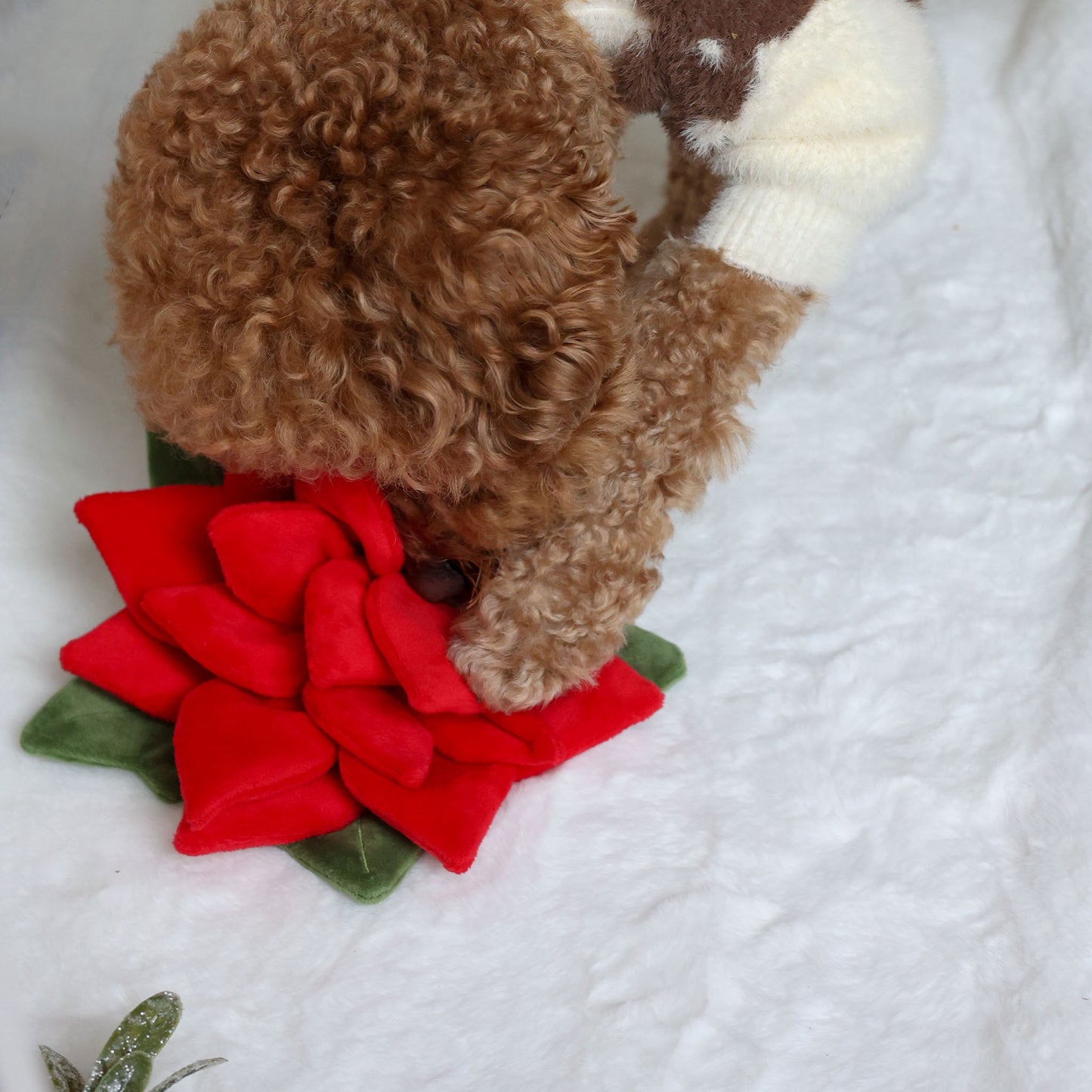 SNUFFLE POINSETTIA // nosework toy