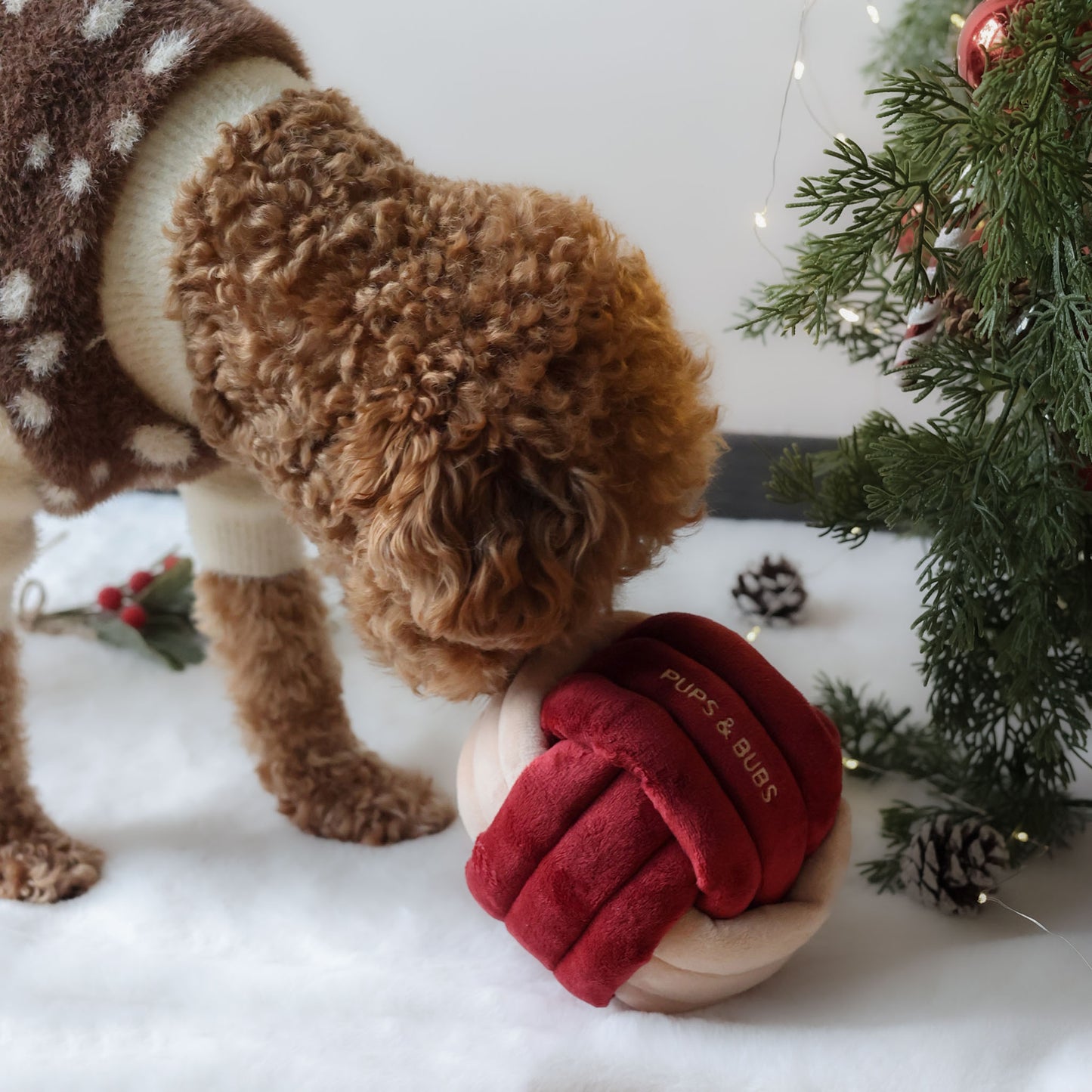 JINGLE KNOT // nosework toy