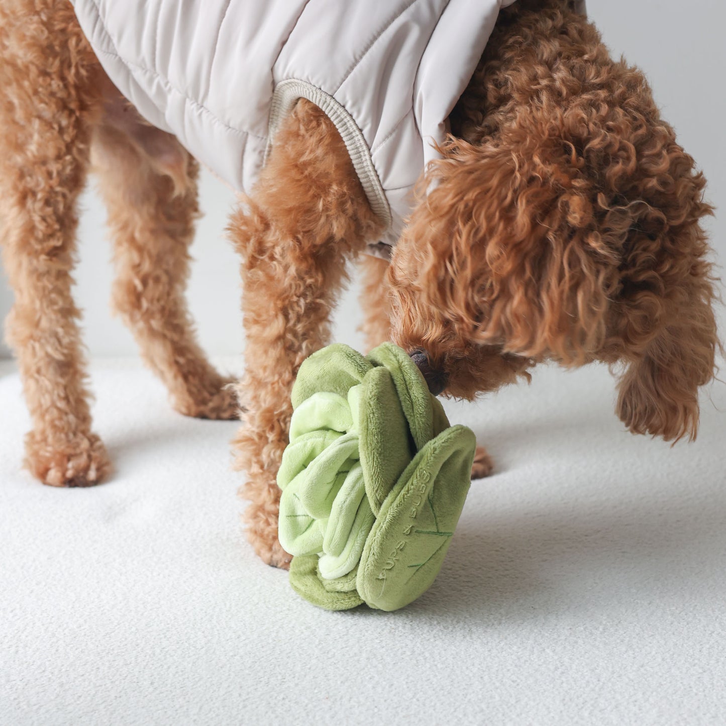 CABBAGE // nosework toy