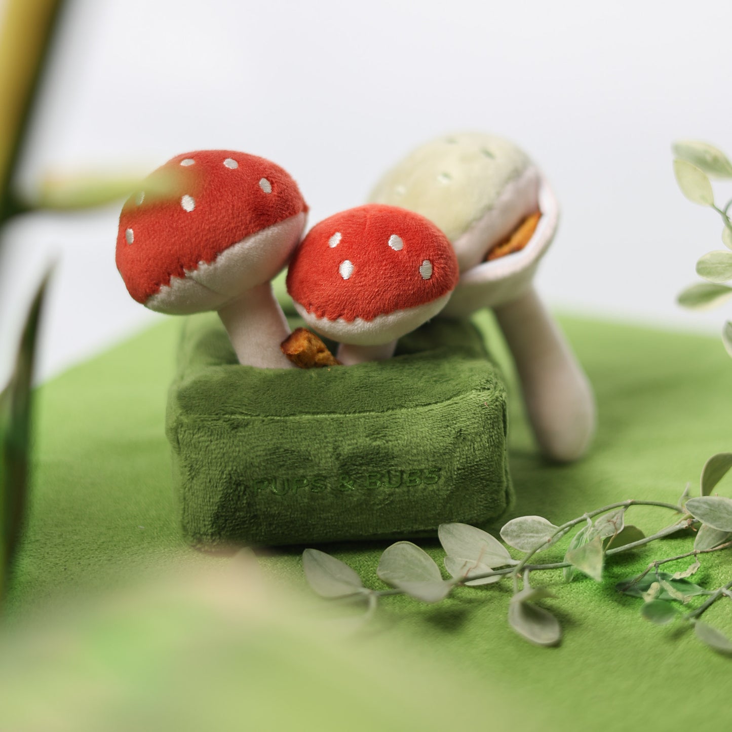 FOREST MUSHROOM // nosework toy