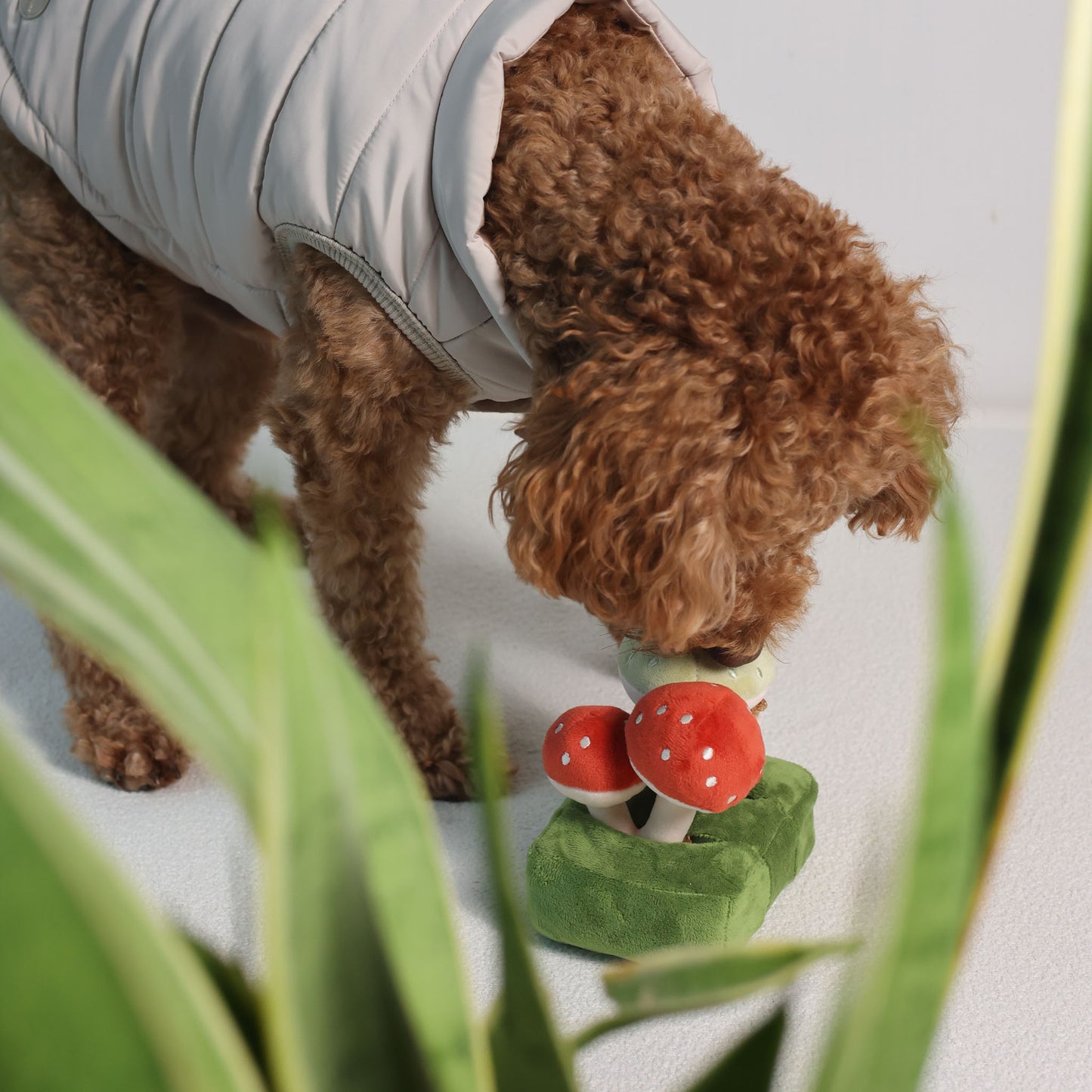 FOREST MUSHROOM // nosework toy