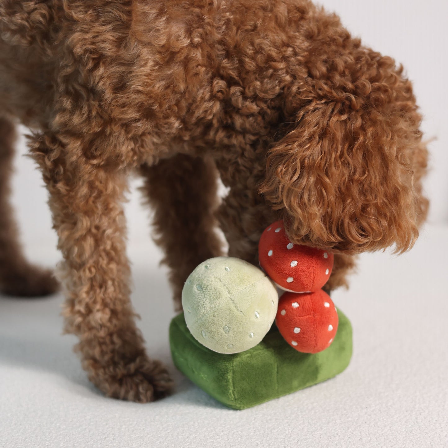 FOREST MUSHROOM // nosework toy