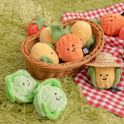 Vegetable Ball Toy